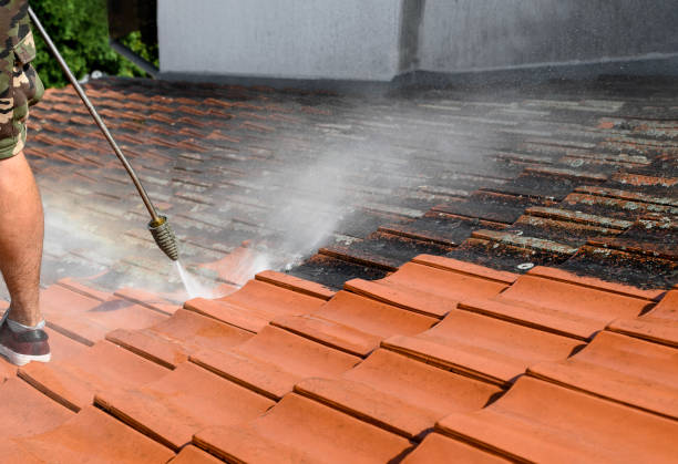 Best House Pressure Washing  in Weldon, CA