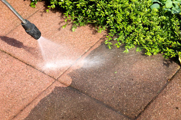 Best Affordable Power Washing  in Weldon, CA